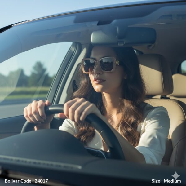 Bolivar Rectangular Brown Sunglasses with Modern Frame – Model P58008